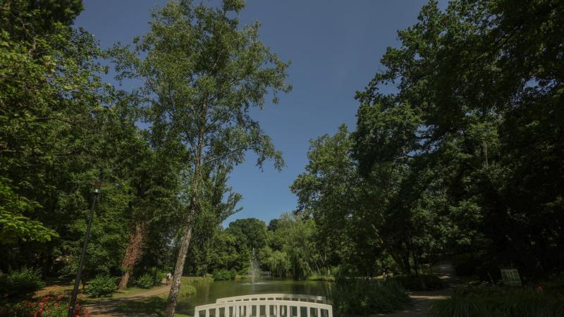 Fedezd fel Tatabánya titkos kincsét: A Liget park varázslatos világa, ahol a mesék életre kelnek! + képek