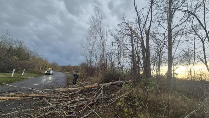 Fák dőlnek, az utak pedig dugókban fulladnak - így csap le a hidegfront Dunaújváros vidékén.