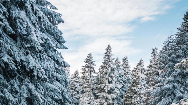 Valószínű, hogy december 24-én hóesésre számíthatunk! Ne hagyd ki a videót, amelyben bemutatjuk az előrejelzéseket és a téli hangulatot!