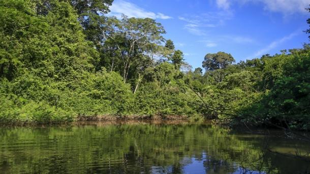 Felfedeztek új állatfajokat a lenyűgöző perui Amazonas-vidéken | TRT Magyar

Az Amazonas-vidék titokzatos világában új állatfajok kerültek napvilágra, amelyek gazdagítják a régió biológiai sokféleségét. A kutatók izgalmas felfedezéseket tettek, amelyek ne