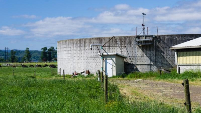 Fedezd fel a magyarok kiemelkedő teljesítményét az Európai Unióban: itt az átfogó elemzés, amely rávilágít a hazai agrárium sikereire! - Agrárszektor