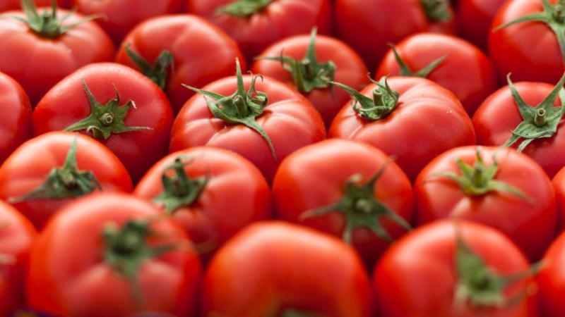 Egyedülálló drágulás történt a paradicsom árának alakulásában július hónapban: soha ennyire nem emelkedtek az árak ezen a területen - Agrárszektor.