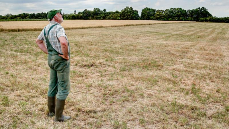 Érkezik az eső: itt a legfrissebb időjárás-előrejelzés, már felsejlik a tűző hőség búcsúja - Agrárszektor