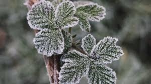 Csíkszeredában a második napja megdőlt a napi hidegrekord | Vajdaság MA