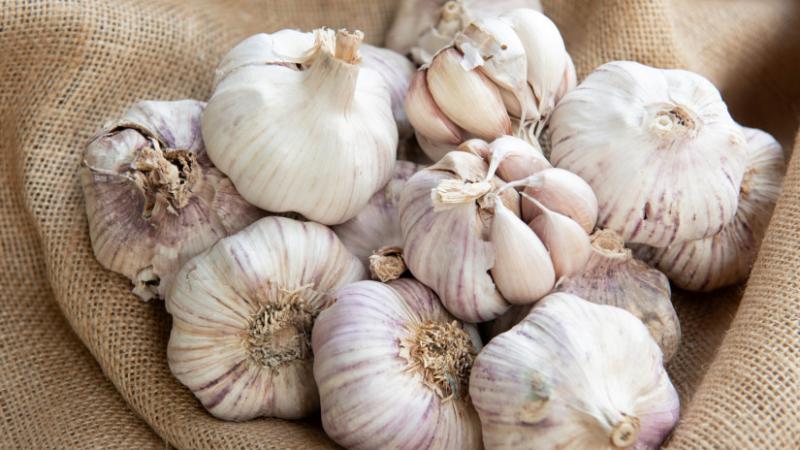 Az importált fokhagyma áradatának látványos növekedése tapasztalható hazánkban: a legnagyobb mennyiség két meghatározó országból érkezik. - Agrárszektor