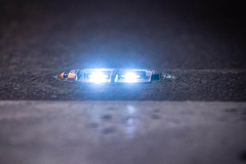 A magyar okoszebrák nem csupán hazai vizeken kalandoznak, hanem külföldi sikerekre is áhítoznak.