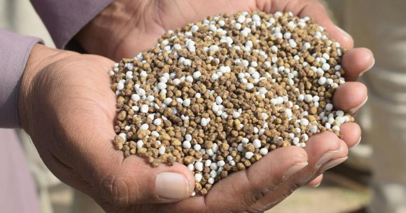 Egy dologban biztosak lehetünk: a bizonytalanság állandó kísérőnk az élet útján.