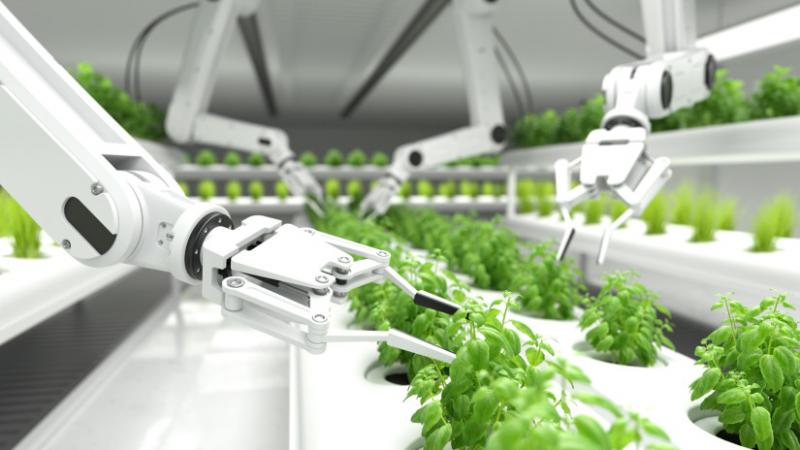 Végre elérkezett az idő, hogy pótoljuk a lemaradásainkat! Olyan régóta várt fejlesztések valósulhatnak meg, amelyek jelentős előrelépést hoznak az agráriumban. Az Agrárszektor folyamatosan figyelemmel kíséri ezeket a változásokat, amelyek új lehetőségeket