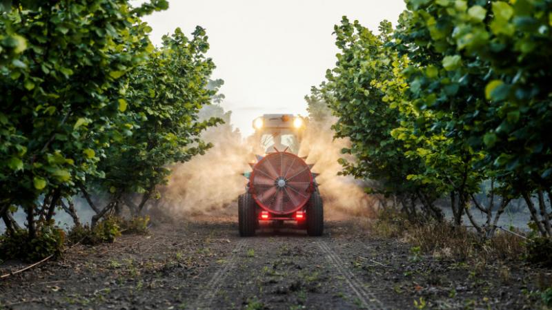 A németek komolyan veszik a dolgukat: ez a fejlesztés gyökeresen átalakíthatja a gyümölcstermesztés jövőjét - Agro Napló.