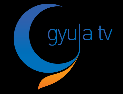 A madarak etetésére legjobban akkor kerül sor, amikor a hőmérséklet tartósan 0 fok alá süllyed. - Gyulatelevízió